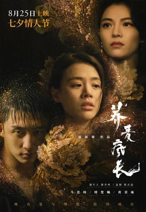 中专毕业证如何查询